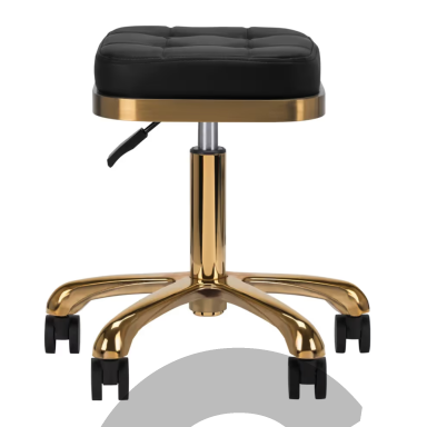 "Activ M-1645 Gold Black" - aukso spalvos groomerio kėdė, kvadratinė dygsniuota, juoda "Activ M-1645 Gold Black" - aukso spalvos groomerio kėdė, kvadratinė dygsniuota, juoda