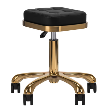 "Activ M-1645 Gold Black" - aukso spalvos groomerio kėdė, kvadratinė dygsniuota, juoda "Activ M-1645 Gold Black" - aukso spalvos groomerio kėdė, kvadratinė dygsniuota, juoda