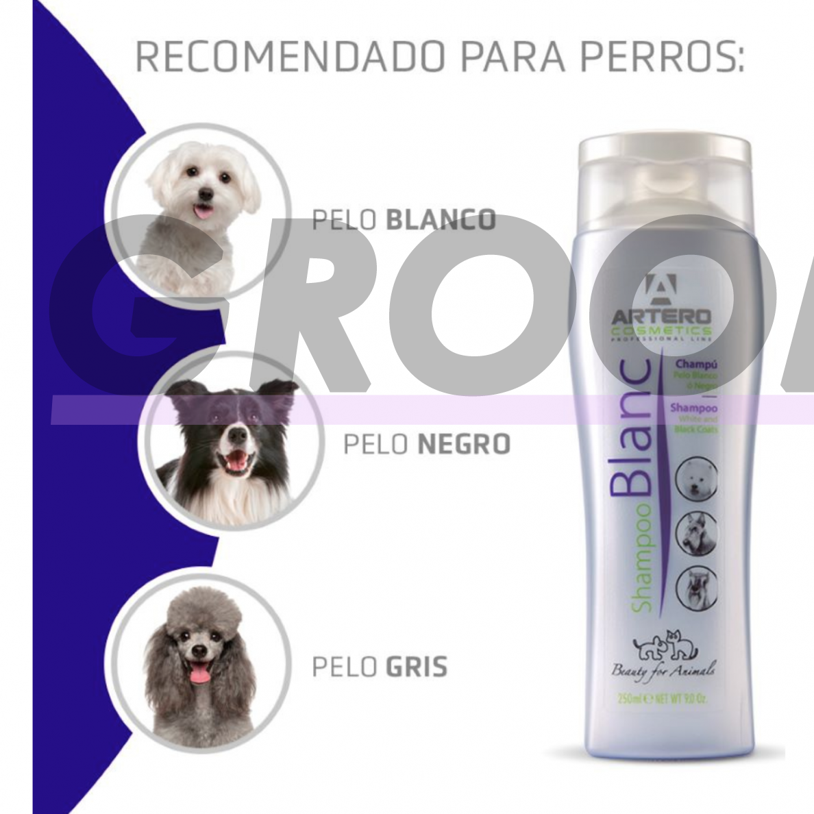 „Artero Blanc“ Shampoo - spalvą paryškinantis šampūnas šunims, skirtas baltam, juodam ir sidabriniam kailiui 3