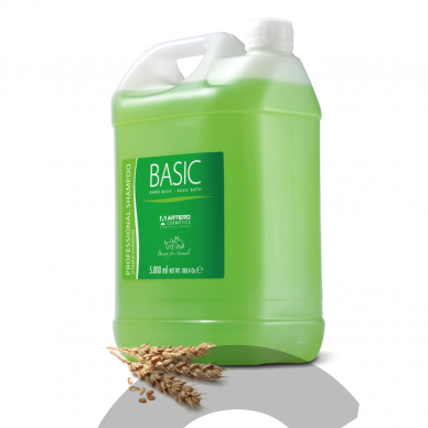 Artero Basic 5L - универсальный шампунь для 1-го мытья 1