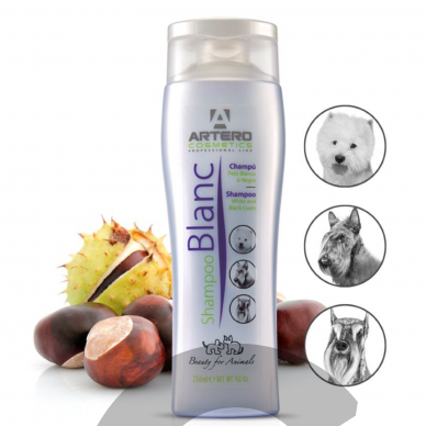 „Artero Blanc“ Shampoo - spalvą paryškinantis šampūnas šunims, skirtas baltam, juodam ir sidabriniam kailiui 2