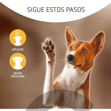 Artero XTop For Dogs & Cats 15g - milteliai kraujavimui stabdyti šunims ir katėms 2
