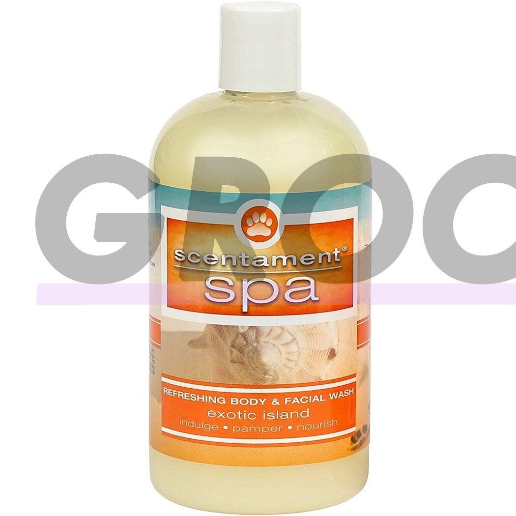 Best Shot Spa Exotic Island Facial & Body Wash 473ml - atpalaiduojantis kūno prausiklis su natūraliais egzotinių vaisių ekstraktais