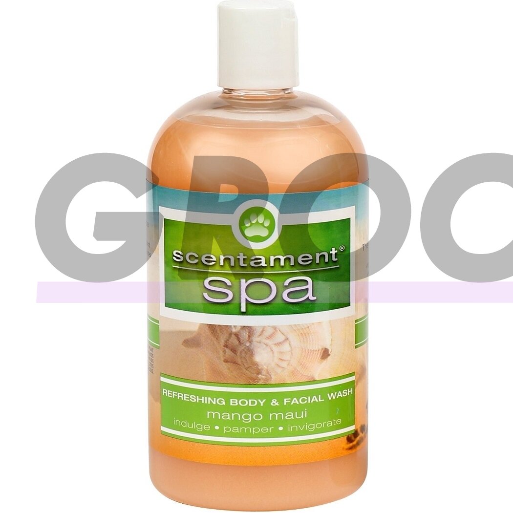 Best Shot Spa Mango Maui Facial & Body Wash 473ml - atpalaiduojantis kūno prausiklis su natūraliais tropinių vaisių ekstraktais