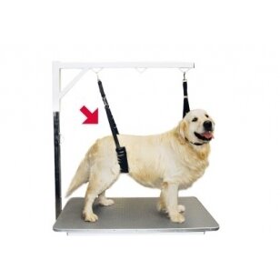 Belly Strap Show Tech - patogus tvirtas ir patogus diržas, kuris palaiko šunį kirpimo metu