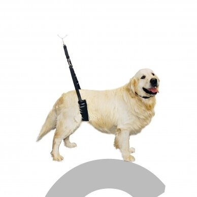 Belly Strap Show Tech - patogus tvirtas ir patogus diržas, kuris palaiko šunį kirpimo metu 2