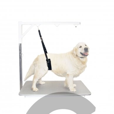 Belly Strap Show Tech - patogus tvirtas ir patogus diržas, kuris palaiko šunį kirpimo metu 3
