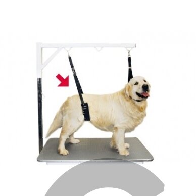 Belly Strap Show Tech - patogus tvirtas ir patogus diržas, kuris palaiko šunį kirpimo metu