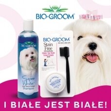 Bio-Groom Stain Free 20g + Super White Shampoo 355ml - baltų plaukų priežiūros rinkinys, šampūnas + pasta nuo dėmių po akimis