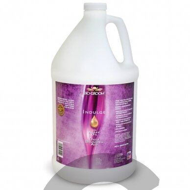 Bio-Groom Indulge Sulfate-Free - nenuplaunamas drėkinamasis kondicionierius su argano aliejumi Bio-Groom Indulge Sulfate-Free - nenuplaunamas drėkinamasis kondicionierius su argano aliejumi