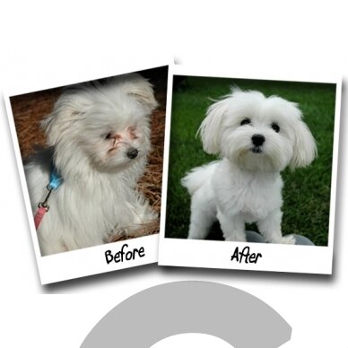 Bio-Groom Stain Free - средство от обесцвечивания кожи под глазами 1 Bio-Groom Stain Free - средство от обесцвечивания кожи под глазами 1