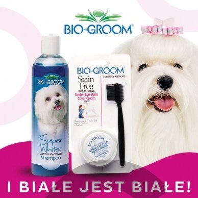 Bio-Groom Stain Free 20g + Super White Shampoo 355ml - baltų plaukų priežiūros rinkinys, šampūnas + pasta nuo dėmių po akimis