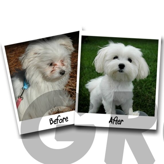 Bio-Groom Stain Free - средство от обесцвечивания кожи под глазами 1