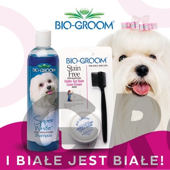 Bio-Groom Stain Free 20g + Super White Shampoo 355ml - baltų plaukų priežiūros rinkinys, šampūnas + pasta nuo dėmių po akimis