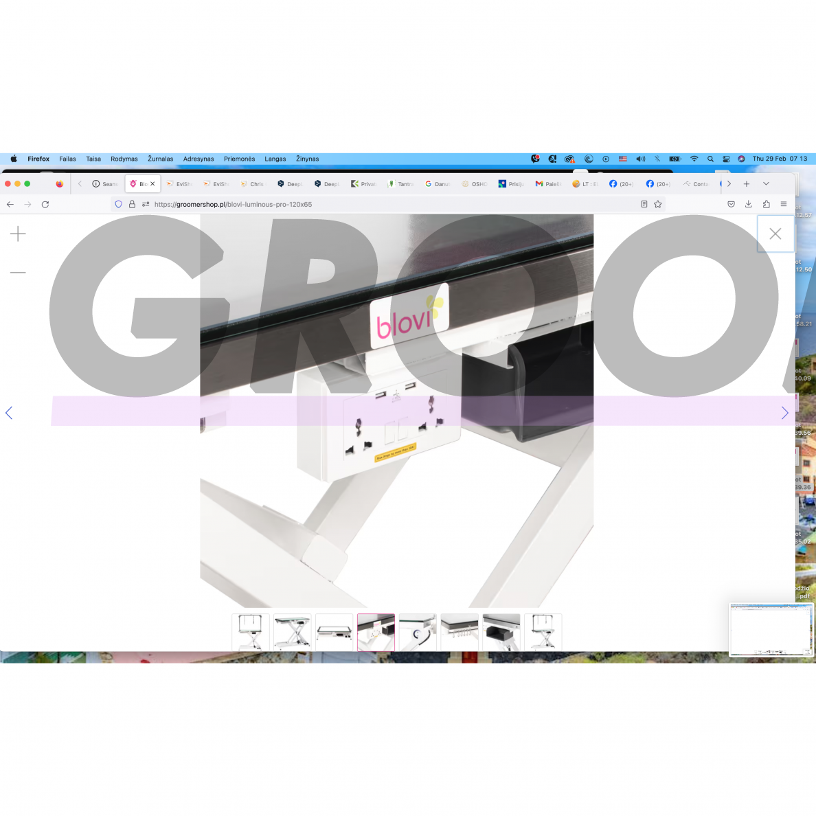 Blovi Luminous Pro 120x65 - профессиональный стол для груминга с подъемником и стеклянной столешницей с LED-подсветкой 2