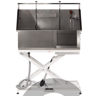Stainless Steel Lift Bath - nerūdijančio plieno vonia su elektriniu pakėlimu ir stumdomomis durimis Stainless Steel Lift Bath - nerūdijančio plieno vonia su elektriniu pakėlimu ir stumdomomis durimis