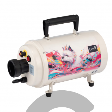 „Blovi Furious Dryer 2800 W“ - galingiausias rinkoje stalinis džiovintuvas su vienu varikliu reguliuojamu oro srautu 1
