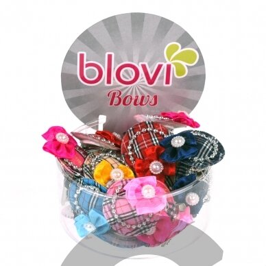 „Blovi Hats Clip“ 25 vnt. - spalvingi segtukai, languotos kepurės