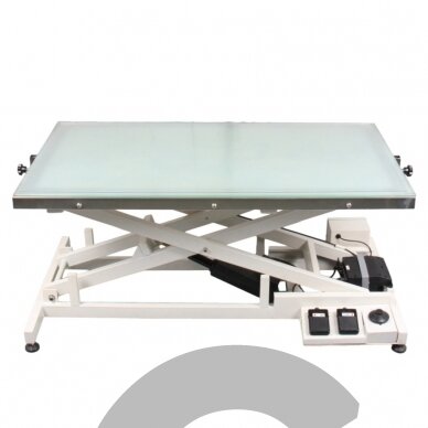 Luminous LED 1