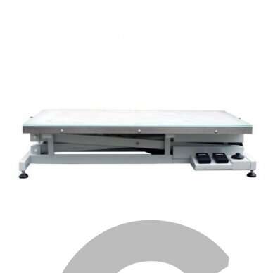 Luminous LED 2