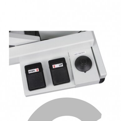 Luminous LED 4