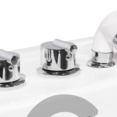 "Blovi Professional Grooming SPA" 65x60x85 cm - ozono vonia su "Milky SPA Micro Bubble" technologija ir hidromasažu, rožinės ir baltos spalvos 4
