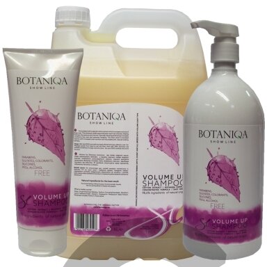 Botaniqa Show Line Volume Up Shampoo - apimties suteikiantis šampūnas 1:5 koncentratas Botaniqa Show Line Volume Up Shampoo - apimties suteikiantis šampūnas 1:5 koncentratas