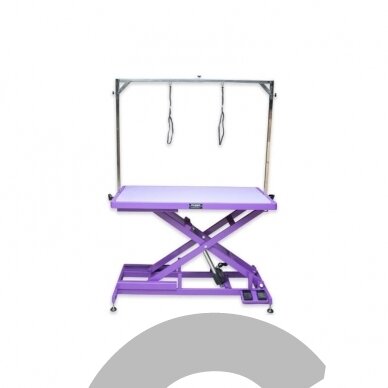 Callisto stalas su elektriniu pakėlimu 125cm x 65cm. Callisto stalas su elektriniu pakėlimu 125cm x 65cm.