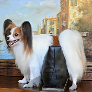 Chris Christensen Stand And Groom - подушка для груминга собак - Размер: XS 1 Chris Christensen Stand And Groom - подушка для груминга собак - Размер: XS 1