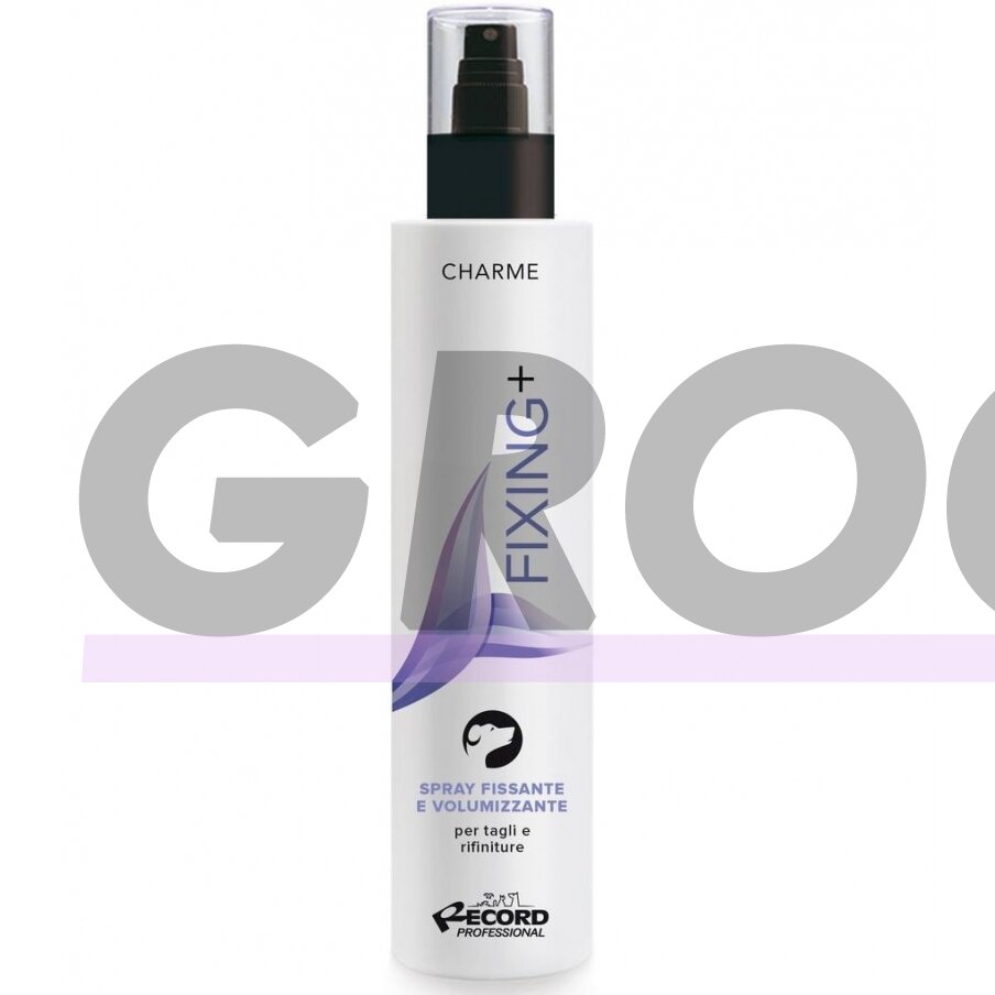 Charme Fixing+ Spray - tekstūrinis purškiklis suteikiantis apimties