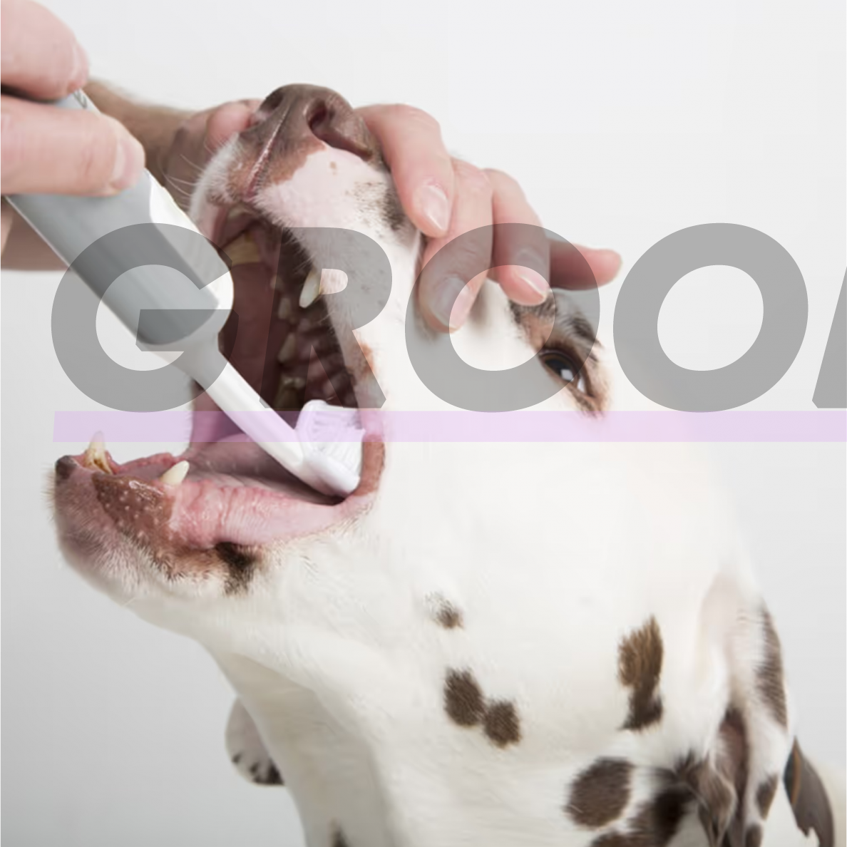Cleany Teeth for Dogs Starter Pack - ультразвуковая зубная щетка для собак, для удаления зубного камня 2 Cleany Teeth for Dogs Starter Pack - ультразвуковая зубная щетка для собак, для удаления зубного камня 2
