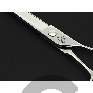 SAMURO scissors straight wider blade 7.5 - Tiesios žirklės gyvūnams platesnė geležtė 4
