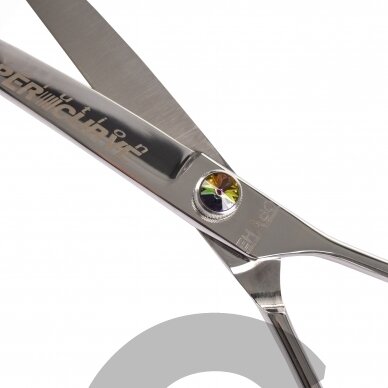 „Ehaso Revolution Super Curve Scissor 8“- profesionalios ypač išlenktos žirklės (30 ° kampu), pagamintos iš aukščiausios kokybės kieto japoniško plieno. 4 „Ehaso Revolution Super Curve Scissor 8“- profesionalios ypač išlenktos žirklės (30 ° kampu), pagamintos iš aukščiausios kokybės kieto japoniško plieno. 4