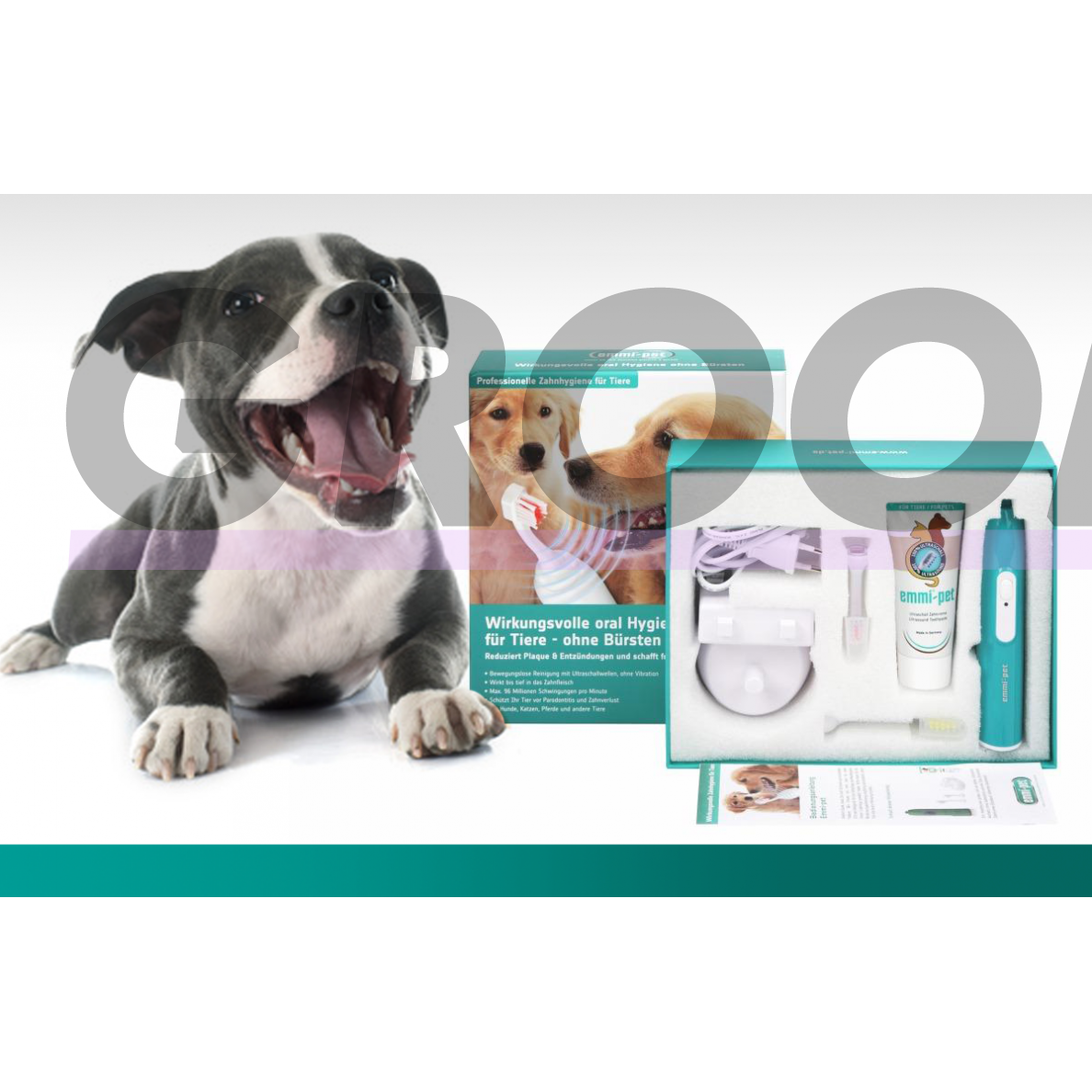 Emmi-Pet Basic Set - profesionalus ultragarsinis dantų šepetėlis gyvūnų dantų akmenims šalinti 7