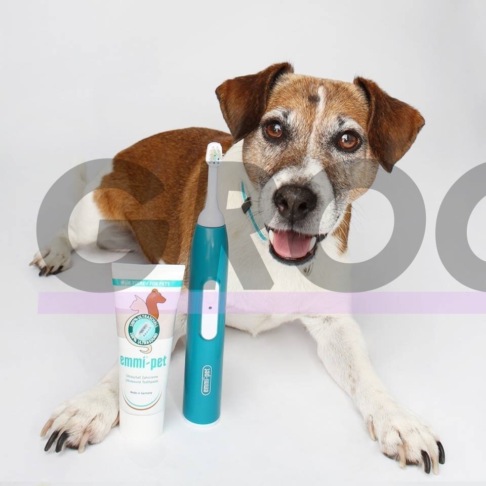 Emmi-Pet Basic Set - profesionalus ultragarsinis dantų šepetėlis gyvūnų dantų akmenims šalinti 5