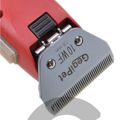 GogiPet Snap On galvutė dydis 10WF (1,5 mm) – Extra Wide 3