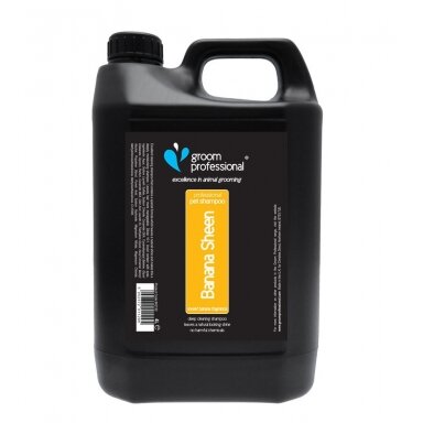 Groom Professional Banana Sheen Shampoo - drėkinamasis šampūnas visų tipų plaukams