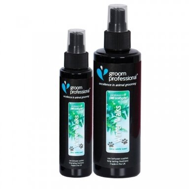 Groom Professional Winter Walks Cologne - parfumuotas vanduo su cinamono, gvazdikėlių, eglės ir eukalipto natomis Groom Professional Winter Walks Cologne - parfumuotas vanduo su cinamono, gvazdikėlių, eglės ir eukalipto natomis