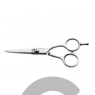 Groom Professional Allievo 5" - poliruotos nerūdijančio plieno tiesios žirklės. Groom Professional Allievo 5" - poliruotos nerūdijančio plieno tiesios žirklės.