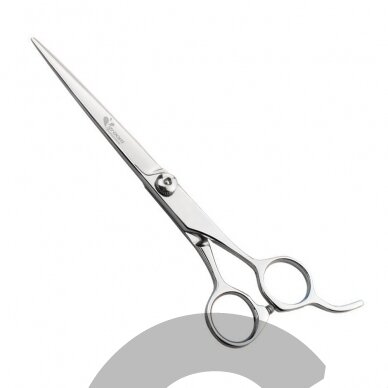 Groom Professional Allievo 7 "- poliruotos nerūdijančio plieno tiesios žirklės. Groom Professional Allievo 7 "- poliruotos nerūdijančio plieno tiesios žirklės.