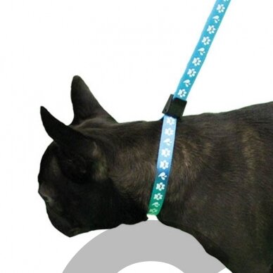 Groom Professional Amoz Pro 40 cm 2 Groom Professional Amoz Pro 40 cm 2