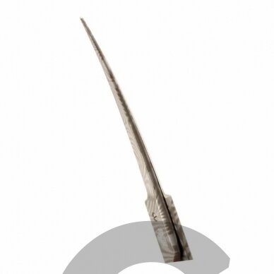 Groom Professional Astrid Left Curved Scissor 7 "- žirklės kairiarankiams, lenktos su 17,5 cm mikro pjūviu. 1 Groom Professional Astrid Left Curved Scissor 7 "- žirklės kairiarankiams, lenktos su 17,5 cm mikro pjūviu. 1