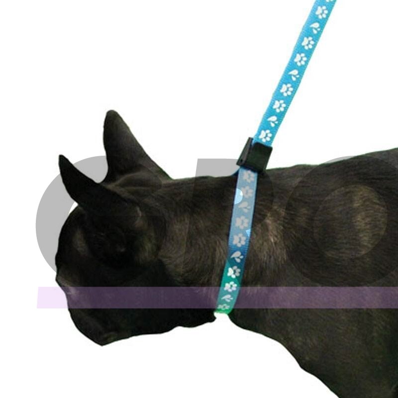 Groom Professional Amoz Pro 40 cm 2