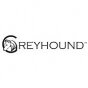 greyhound-sukos-ir-priedai-gyvunamas-1