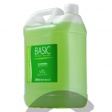Artero Basic 5L - универсальный шампунь для 1-го мытья 2