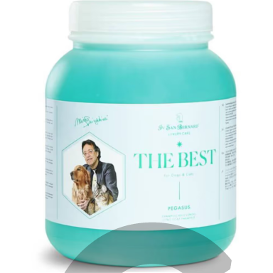 Iv San Bernard The Best Pegasus Shampoo - šampūnas ilgaplaukiams šunims ir katėms, su Dedešvos (Malvos) ekstraktu