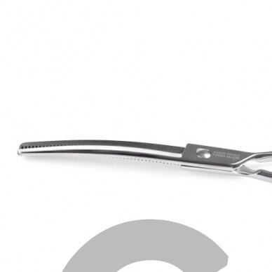 Jargem Curved Thinning 6,5" – profesionalios vienpusės filiravimo žirklės, sulenktos 45 dantukai 1 Jargem Curved Thinning 6,5" – profesionalios vienpusės filiravimo žirklės, sulenktos 45 dantukai 1