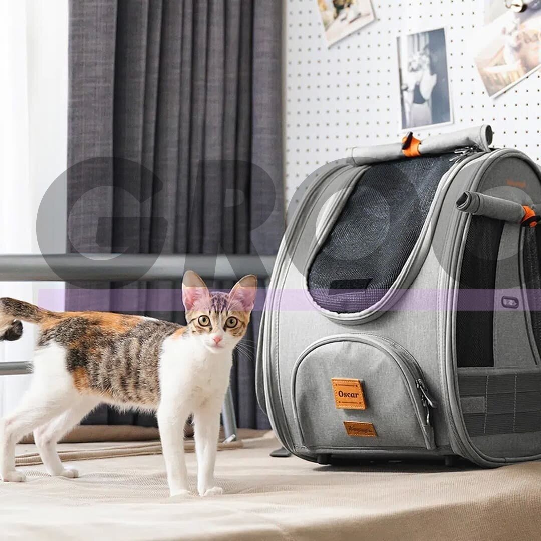 Рюкзак для кошек Delux для безопасной транспортировки кошек 12 Рюкзак для кошек Delux для безопасной транспортировки кошек 12