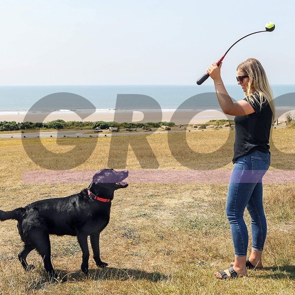 KONG HandiPOD Ball Launcher - šunų kamuoliukų paleidimo įrenginys su dėklu šunų ekskrementų maišeliams 4 KONG HandiPOD Ball Launcher - šunų kamuoliukų paleidimo įrenginys su dėklu šunų ekskrementų maišeliams 4