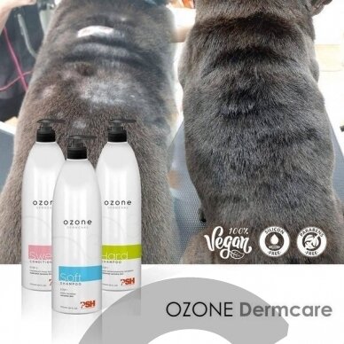 Blovi Ozone Generator – ozono generatorius, naikinantis bakterijas, virusus ir grybelius 5 Blovi Ozone Generator – ozono generatorius, naikinantis bakterijas, virusus ir grybelius 5
